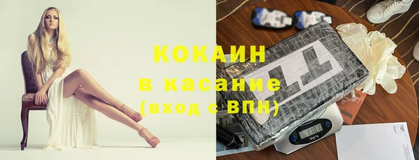 прущие грибы Карталы