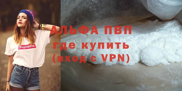 прущие грибы Карталы