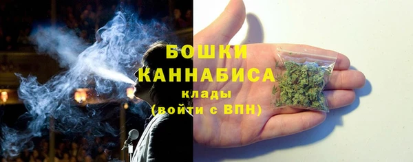 прущие грибы Карталы
