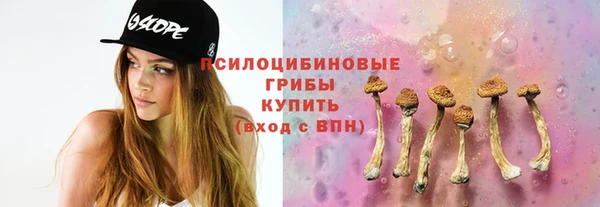 прущие грибы Карталы