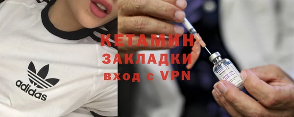 прущие грибы Карталы