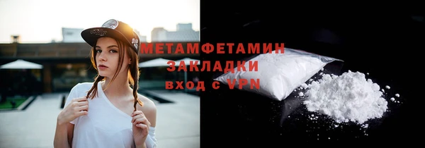 прущие грибы Карталы