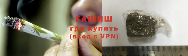 прущие грибы Карталы