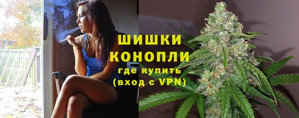 бошки Карпинск